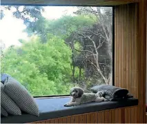  ??  ?? Where better to relax than a window seat with trees and birds to watch.