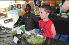  ??  ?? Rupert Elementary School students try leafy greens during an indoor Tower Garden tasting party.