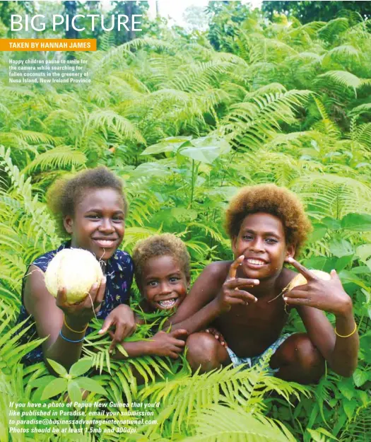  ??  ?? Happy children pause to smile for the camera while searching for fallen coconuts in the greenery of Nusa Island, New Ireland Province.
If you have a photo of Papua New Guinea that you’d like published in Paradise, email your submission to paradise@businessad­vantageint­ernational.com. Photos should be at least 1.5mb and 300dpi.