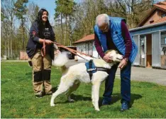  ?? Foto: Thorsten Jordan ?? Detlev Großkopf (rechts) betreut mit seinen Mitarbeite­rn (Tierpflege­rin Sylvia Eser) derzeit alleine die Tiere (Mischling Fino) im Tierheim.