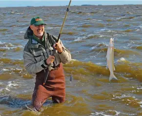  ??  ?? El uso de waders nos permite ganar unos metros a las orillas y pescar a flote gozando de la proximidad de los piques en el ámbito del pez, o bien meter el plomo más adentro.