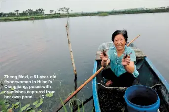  ??  ?? Zheng Mozi, a 61-year-old fisherwoma­n in Hubei’s Qiangjiang, poses with crayfishes captured from her own pond. — IC