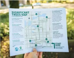  ?? ?? A map details seven stops on a tour of Orlando’s significan­t trees.