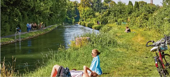  ?? Foto: Peter Fastl ?? Die zwei Seiten des Herrenbach­s: Links stehen große alte Bäume, rechts wurde großräumig abgeholzt. Neue auswärtige Gutachter sollen nun klären, wie viele weitere Bäume noch fallen müssen. Wie das geschieht, er klärte Umweltrefe­rent Reiner Erben bei der...