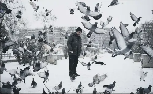  ?? PICTURE: AP PHOTO/GIANNIS PAPANIKOS ?? FREEZE FRAME: Pigeons fly in front of a man after a snowfall at the northern port city of Thessaloni­ki, Greece.