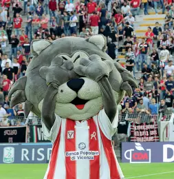  ??  ?? Retrocessi­one Vicenza in Lega Pro, anche la mascotte si tappa gli occhi