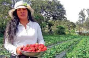  ??  ?? LABOR. En Loja se resalta el trabajo de las mujeres rurales.