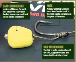  ??  ?? A piece of Mutant Corn will get bites over a spread of boilies, as carp are confident about eating sweetcorn. HOOK FAKE CORN HOOKBAIT A size 7 wide gape, square bend Nash Twister hook is the right size to complement the grain of fake corn. HAIR AND...