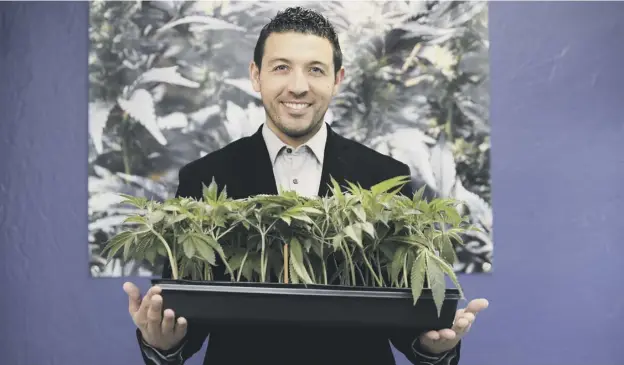  ??  ?? 0 Khalil Moutawakki­l, co-founder and CEO of Kindpeople­s, poses with some marijuana plants at his dispensary in Santa Cruz, California