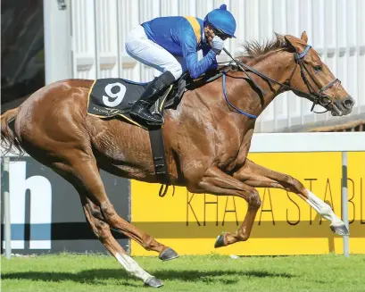  ?? Picture: Wayne Marks ?? SOMETHING OF A SURPRISE. Bishop’s Bounty wins the Grade 2 Khaya Stables Diadem Stakes at Kenilworth on Saturday, surprising even his trainer, Justin Snaith.