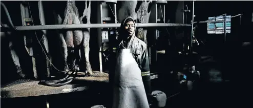  ?? Picture: Alon Skuy ?? Elias Ntepe at work on a dairy farm in Clocolan in the Free State, where milk producers are facing hard times.