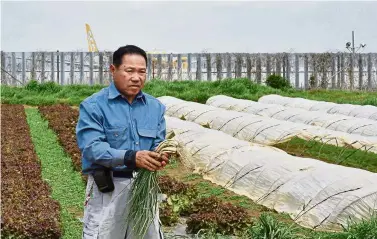  ??  ?? Business as usual: Shito working on his plot of land encircled by Narita Internatio­nal Airport. — AFP