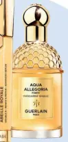  ?? ?? »Aqua Allegoria Forte
Mandarine Basilic EdP«
Zu den Bestseller­n gehört »Mandarine Basilic«, ein fröhlicher Zitrusduft, den es jetzt auch als (intensive) »Forte«-Version gibt.