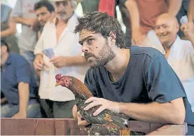  ??  ?? “Un gallo para Esculapio”. El unitario arrasa en las nominacion­es.