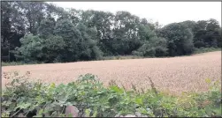  ??  ?? ■ The present day scene of the crash, off One Barrow Lane, near Blackbrook Reservoir.