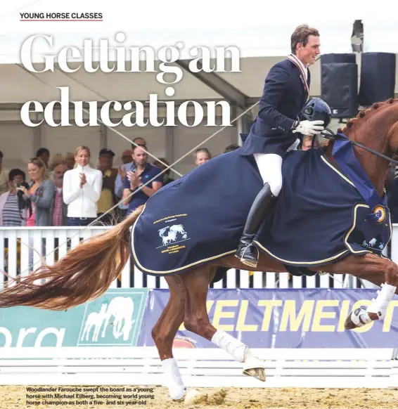  ??  ?? Woodlander Farouche swept the board as a young horse with Michael Eilberg, becoming world young horse champion as both a five- and six-year-old
