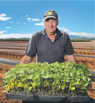  ?? Picture: Marc McCormack ?? GROWTH HURDLE: North Queensland farmer Makse Srhoj says a current requiremen­t to maintain 30 per cent vegetation on his land is already too restrictiv­e.
