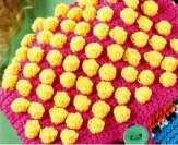  ??  ?? A mass of bright yellow bobble stitches makes a fun fashion statement on the flap