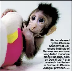  ?? AFP ?? Photo released by the Chinese Academy of Sciences-Institute of Neuroscien­ce shows long-tailed macaque clone Hua Hua, born on Dec. 5, 2017, at a research institutio­n in Suzhou in China’s Jiangsu province.