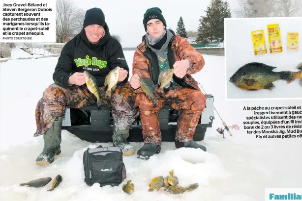  ?? PHOTO COURTOISIE ?? Joey Gravel-Béland et Steven Bergeron Dubois capturent souvent des perchaudes et des mariganes lorsqu’ils taquinent le crapet-soleil et le crapet arlequin.