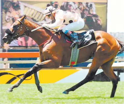  ?? Picture: JC Photograph­ics ?? SUMMER CUP HOPES. Greek Fire has been entered to run in the G-BETS Summer Cup on 1 December but will need to prove his level of fitness when he contests Race 4 at the Vaal tomorrow.