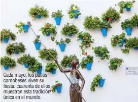  ??  ?? Cada mayo, los patios cordobeses viven su fiesta: cuarenta de ellos muestran esta tradición única en el mundo.