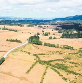  ?? Photo / Chris Tarpey ?? The human and economic toll of the Covid-19 outbreak has hit sentiment hard in an agricultur­al sector already struggling with dry conditions, says ANZ.