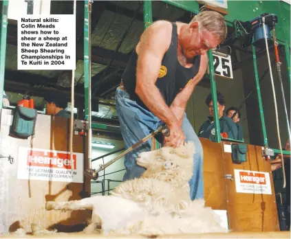  ??  ?? Natural skills: Colin Meads shows how to shear a sheep at the New Zealand Sheep Shearing Championsh­ips in Te Kuiti in 2004
