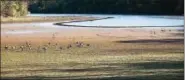  ??  ?? The water has receded in parts of the green Lane Reservoir in Upper Hanover. All area counties are under a stateimpos­ed drought watch.