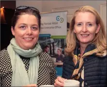  ??  ?? Helen Conway and Caroline Tully of Blackstair­s Web Design.