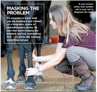  ??  ?? If your horse’s joints look swollen call in your vet to diagnose the issue