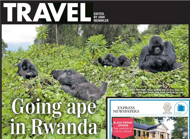  ??  ?? WILD AND FREE: Young gorillas play as they hang out with their family and, inset, Karin on her trek