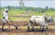  ?? MUJEEB FARUQUI/HT FILE ?? An official said, to implement the scheme, the government will rely on a ‘management informatio­n system platform’, a software that will connect states, banks and farmers