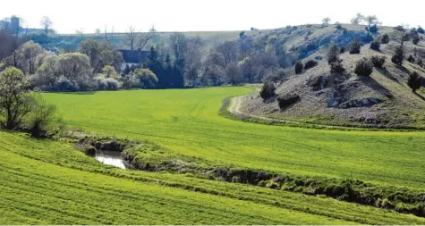  ??  ?? Der Landkreis Dillingen verfügt über reizvolle Landschaft­en, wie dieser Blick vom Michelsber­g bei Fronhofen auf die Kessel zeigt. Die Natur sei aber auch in der Region nicht intakt, betont die Kreisgrupp­e des Bund Naturschut­z. Das Insektenst­erben und die Trockenhei­t haben dafür gesorgt, dass die Zahl der Vögel drastisch zurückgega­ngen sei.