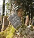  ?? Foto: Bernhard Weizenegge­r ?? Der jüdische Friedhof in Ichenhause­n zählt zu den bedeutends­ten seiner Art.