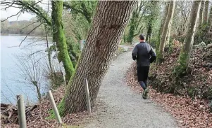  ?? | PHOTO : OUEST-FRANCE ?? Course à pied ou promenade, les sentiers autour du lac de Bosméléac sont propices à de nombreuses activités.