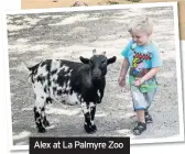  ??  ?? Alex at La Palmyre Zoo