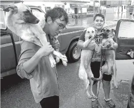  ??  ?? Sus perros tendrán hogar temporal en otro refugio.