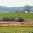  ?? FOTO: BETTINA MUSCH ?? Auf freiem Feld im Bereich der Silberhütt­e, außerhalb von Hintermoos, könnte ein neuer Mobilfunkm­asten errichtet werden.