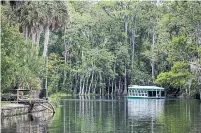  ?? PATRICK CONNOLLY ORLANDO SENTINEL ?? Take a glass bottom boat tour at Silver Springs State Park.