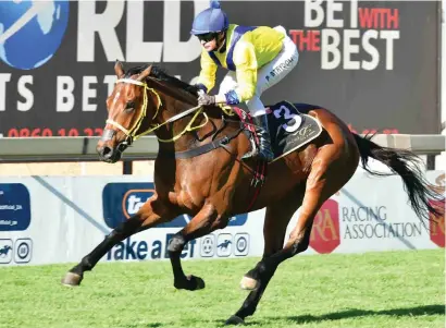  ?? Picture: JC Photograph­ics ?? FAVOURITE. Zillzaal is the current favourite for tomorrow’s Peermont Emperors Palace Charity Mile but could find 1600m too short.