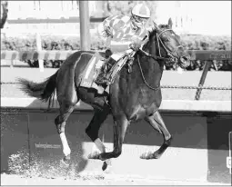  ?? COADY PHOTOGRAPH­Y ?? Serengeti Empress earned a Beyer Speed Figure of only 78 for this 19 1/2-length win in the Pocahontas Stakes.