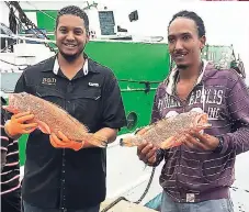  ?? CONTRIBUTE­D PHOTO ?? Roderick Francis (left), chief executive officer of B&D Trawling, and boat captain Peter Grant pose with two of the fish.