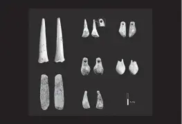  ?? [KATERINA DOUKA VIA THE NEW YORK TIMES] ?? Teeth and bone unearthed in the Denisova Cave might not look like much, but they contain DNA dating back tens of thousands of years.