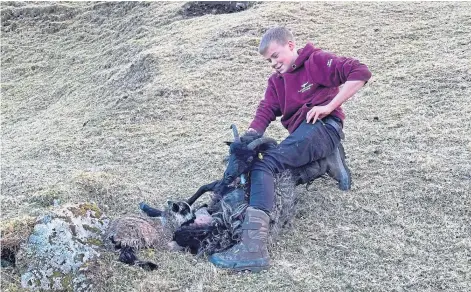  ?? ?? LEGEND-DAIRY: Struan MacDonald, aged 16, has won the Scottish Crofting Federation’s Young Crofter Award.