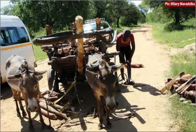  ?? Gwanda-Bulawayo Highway ?? Pic: Hilary Maradzika
An unidentifi­ed man recently seen fixing the tyre to his donkey-drawn scorthcart in Esigodini on his way to sell firewood along the