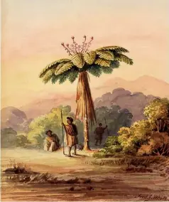  ??  ?? From An Indescriba­ble Beauty, “Two Maori men and a seated woman with tree fern at sunset, possibly Hutt Valley, circa 1848”, watercolou­r by F.J. White.