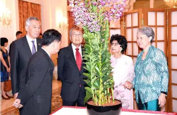  ??  ?? Dr Mahathir and Dr Siti Hasmah, flanked by Lee and Ho Ching admire an orchid plant named ‘Dendrobium Mahathir Siti Hasmah’ in conjunctio­n with their official visit to Singapore at The Istana. — Bernama photo