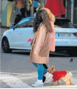  ??  ?? Las mascotas también se abrigan ante las bajas temperatur­as.