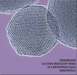  ??  ?? TRANSMISSI­ON ELECTRON MICROSCOPY IMAGE OF A MESOPOROUS SILICA NANOPARTIC­LE INNOVATION: Researcher­s are investigat­ing the potential use of nanopartic­les called mesoporous silicas as carriers of equine medication­s.